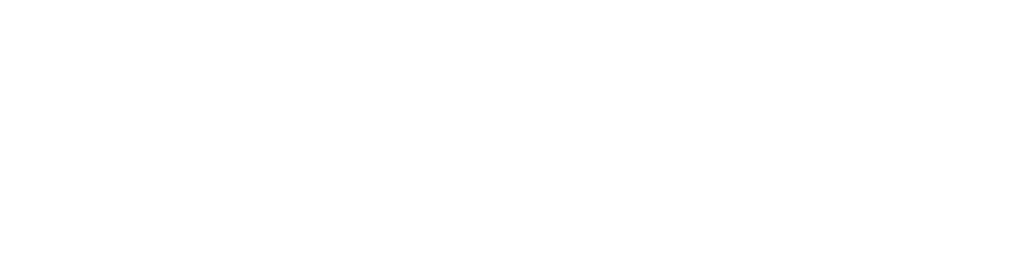 Logo de VENESIS en Footer